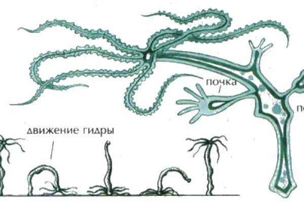 Почему не получается зайти на кракен