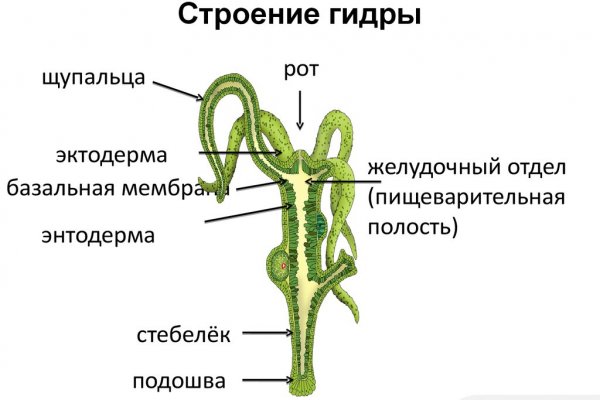 Замена hydra