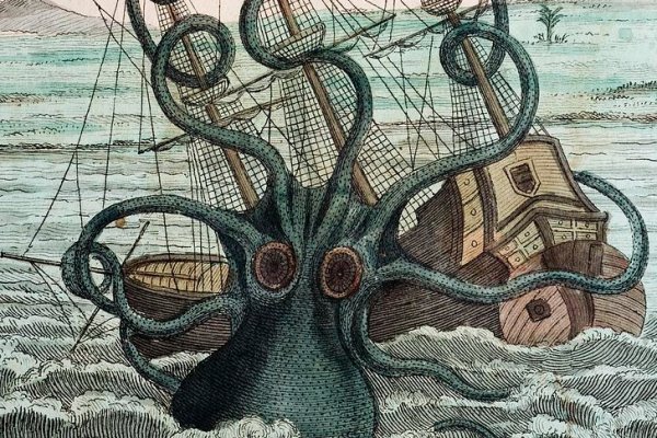 Kraken настоящая ссылка