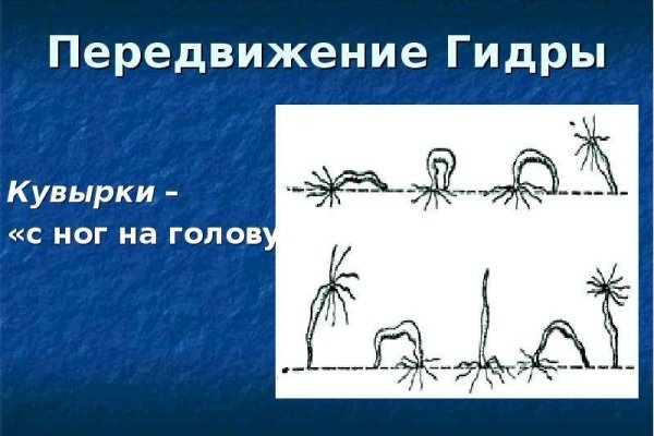 Kraken зеркало стор