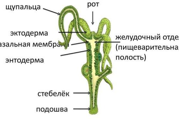 Кракен тор что это